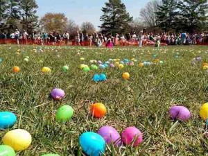 annual_egg_hunt.jpg