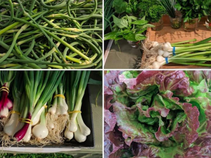 veges.png