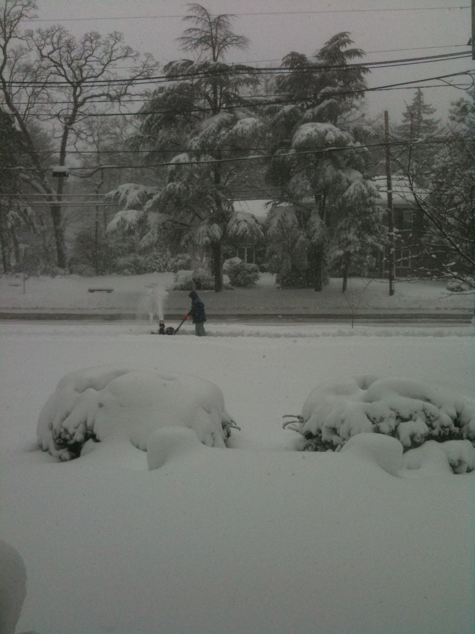 February Snowstorm 2010