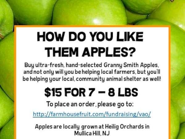 Granny Smiths for a Cause