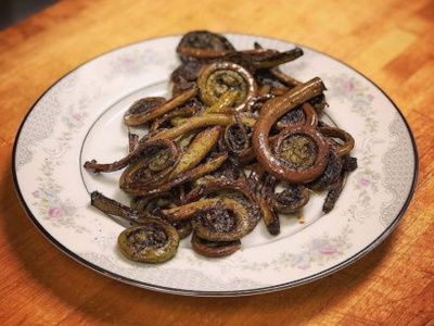 Fiddleheads Sprout Menus