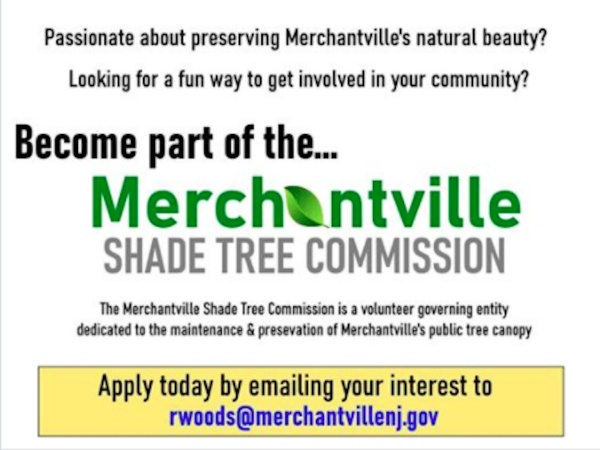 Volunteer for Shade Tree