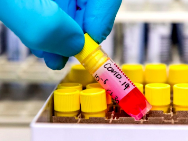 Covid Vaccines & Therapies